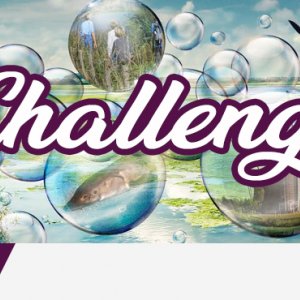 NLDelta Challenge: Deel de Delta